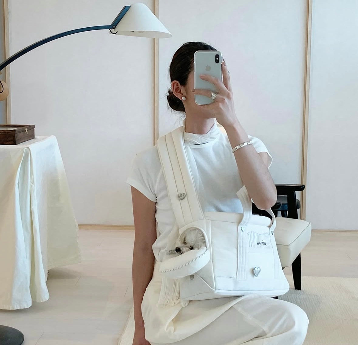 CARRY BAG