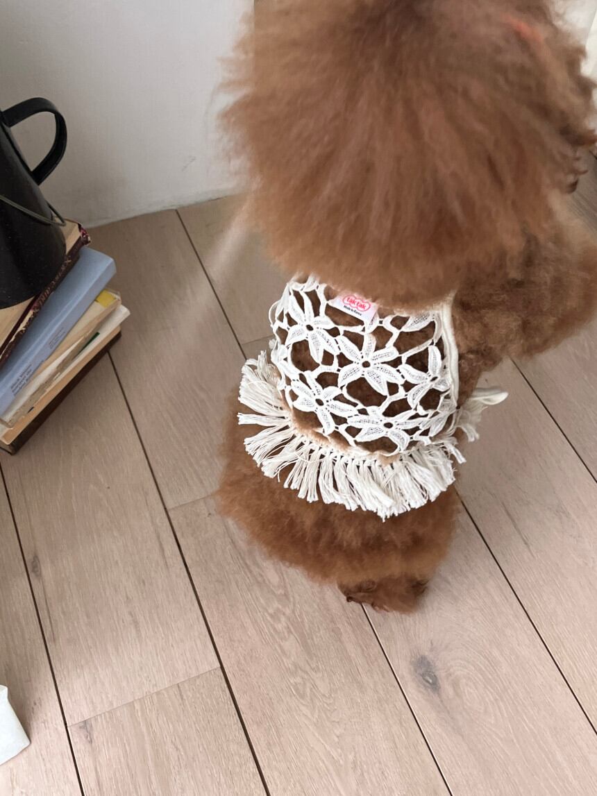 ［tak!tak!tak!tak!］Flower Crochet Bustier