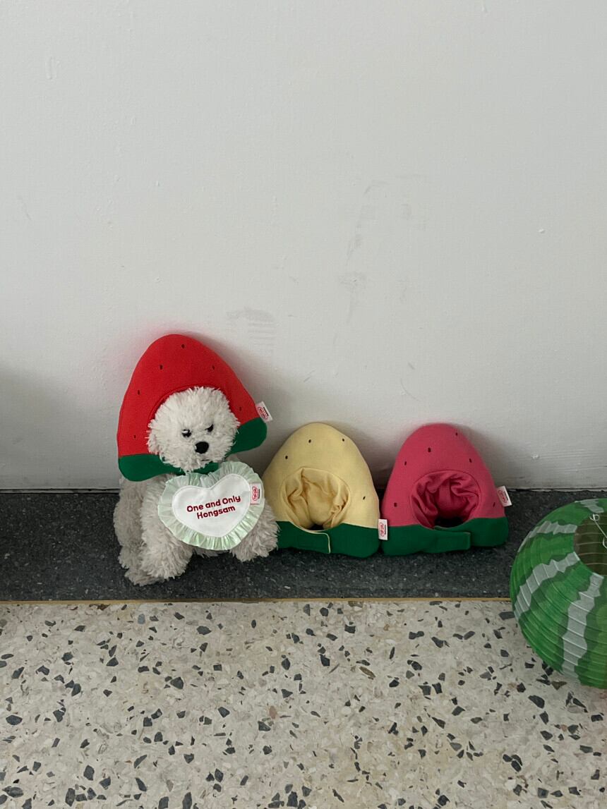 即納［tak!tak!tak!tak!］Water melon cap （帽子単品）