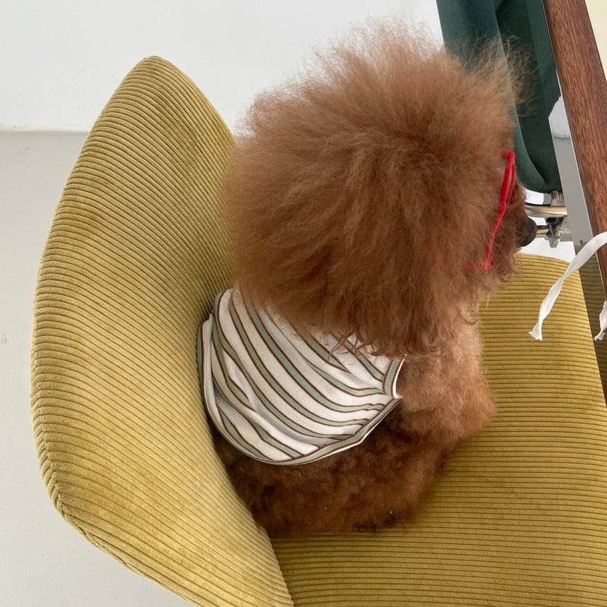 予約［tak!tak!tak!tak!］nerd stripe bustier ( apple mint brown )