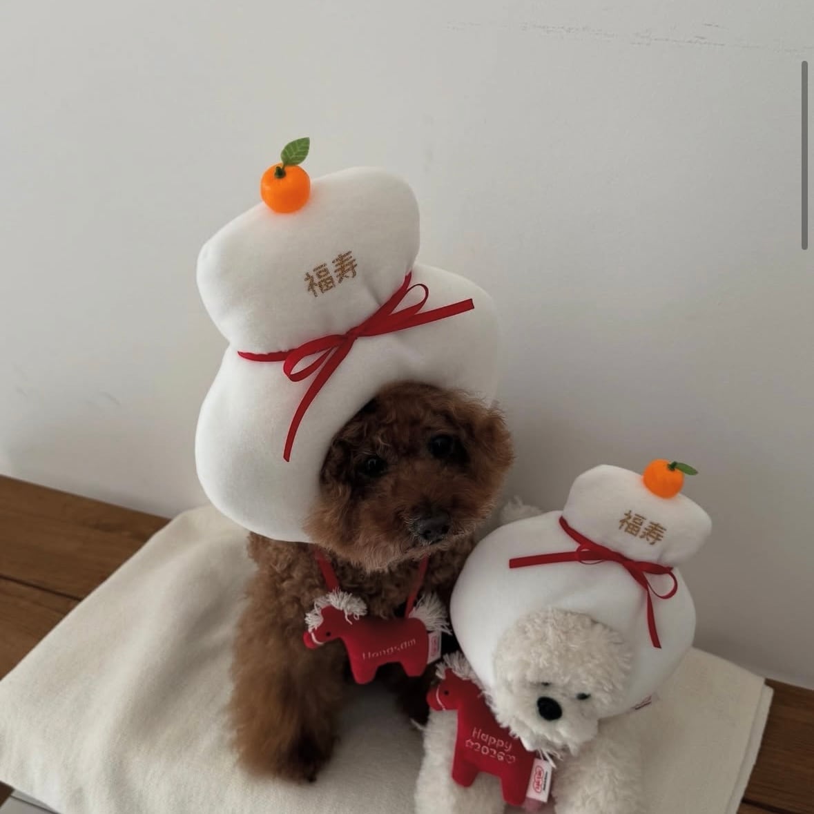 即納［tak!tak!tak!tak!］kagami mochi cap （帽子単品）