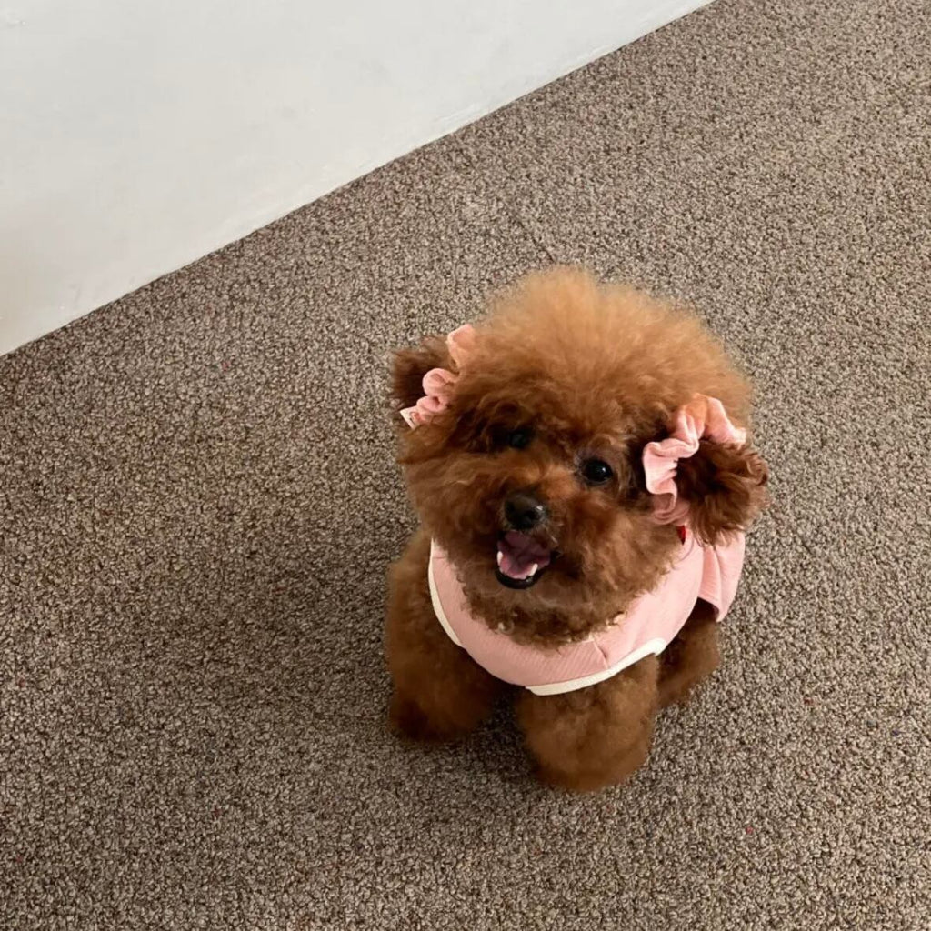 即納/袖なしワンピース［tak!tak!tak!tak!］ puppy fluffy one-piece