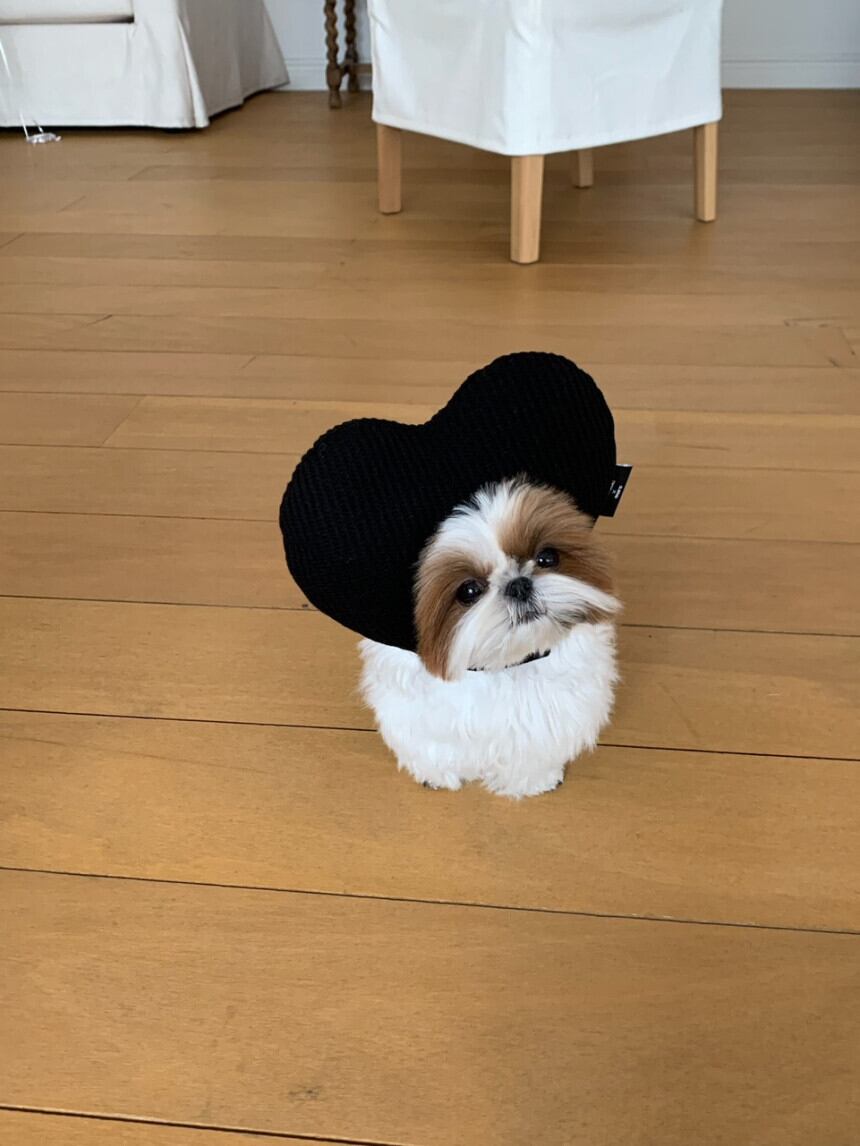 即納［ours,］Heart hat (black, stripe)