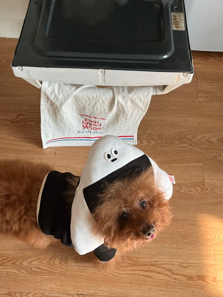 予約［tak!tak!tak!tak!］ onigiri hat （帽子単品）