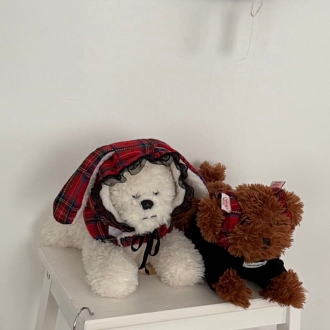 予約［tak!tak!tak!tak!］winter tartan check balaclava