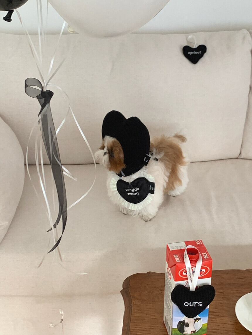 即納［ours,］Heart hat (black, stripe)