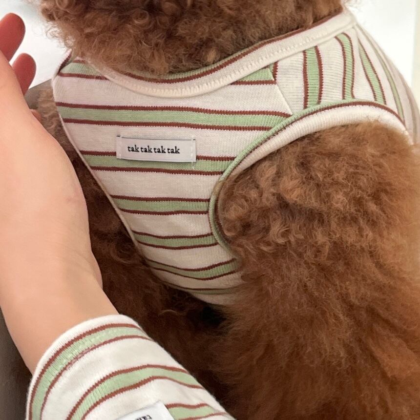 予約［tak!tak!tak!tak!］nerd stripe bustier ( apple mint brown )