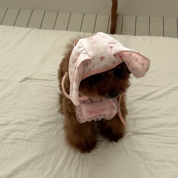 予約［tak!tak!tak!tak!］milk pink eyelet bunny bonnet