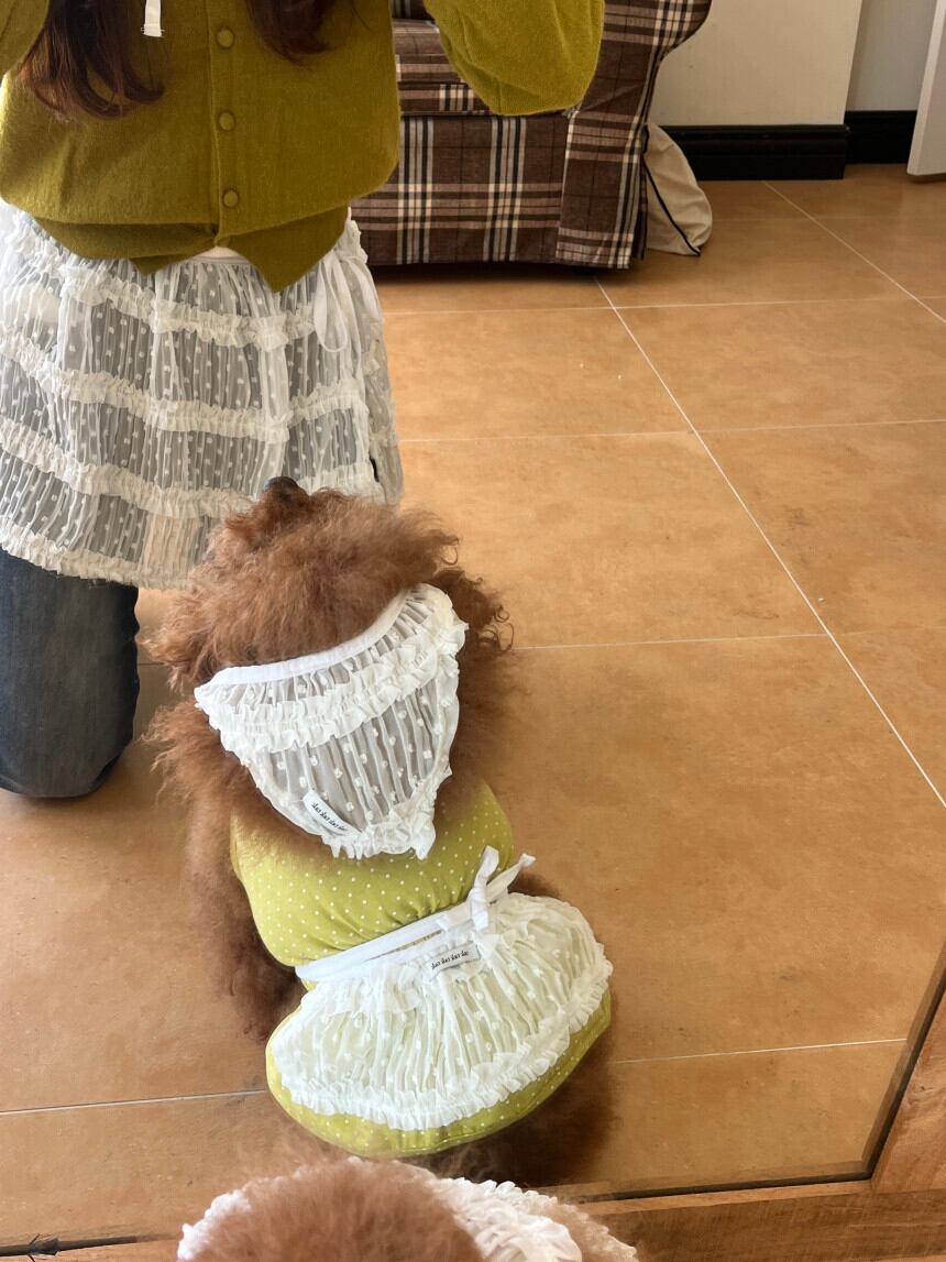 わんこ用［tak!tak!tak!tak!］Pure Lace  Headscarf