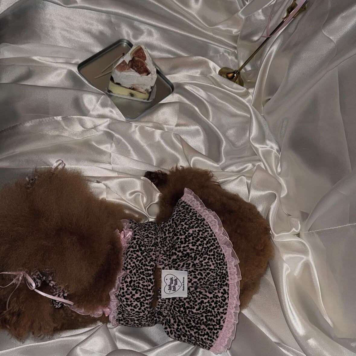 即納［tak!tak!tak!tak!］Love&Wild Leopard Series (Dress)