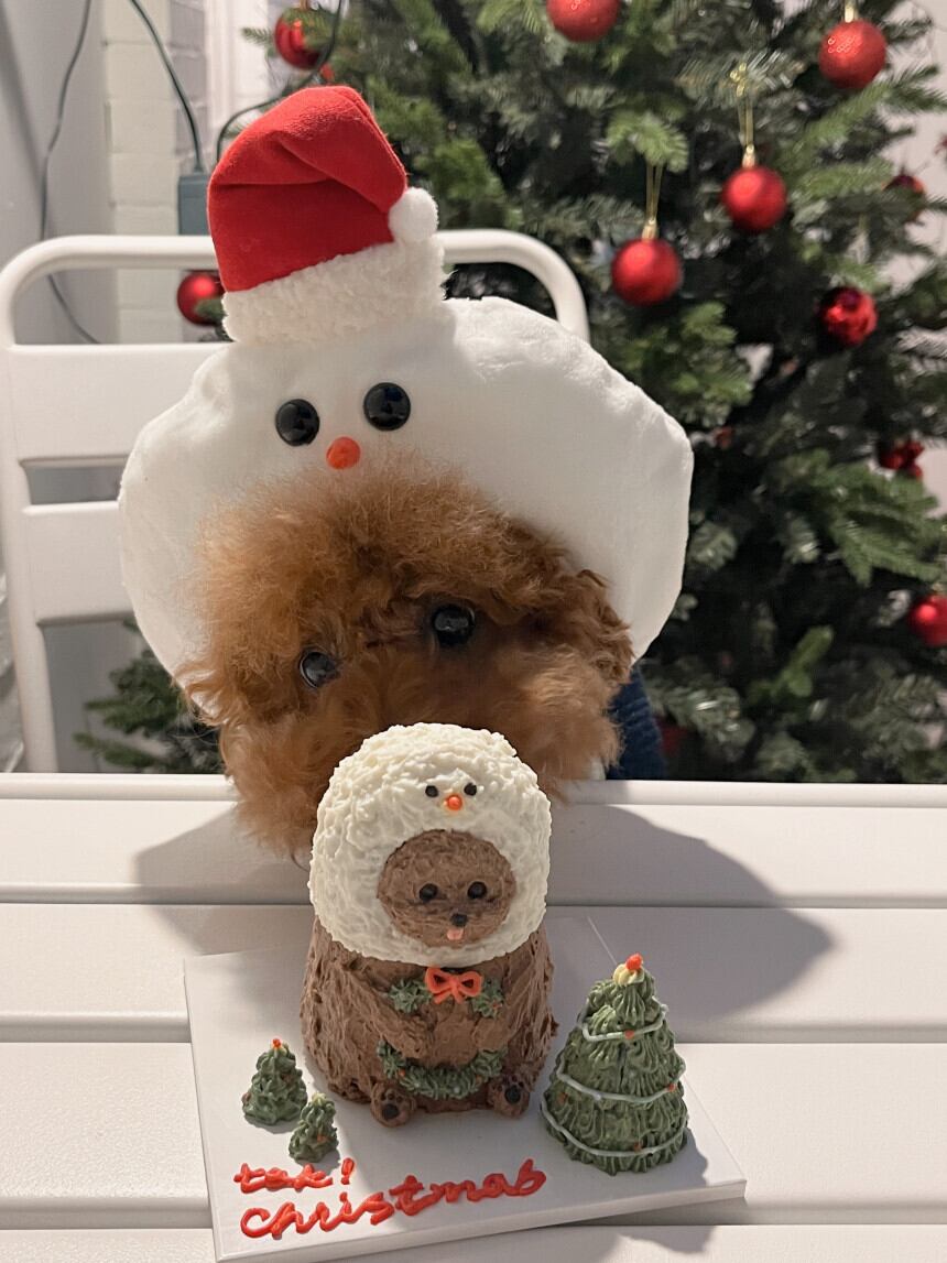 ［tak!tak!tak!tak!］SnowMan cap （帽子単品）