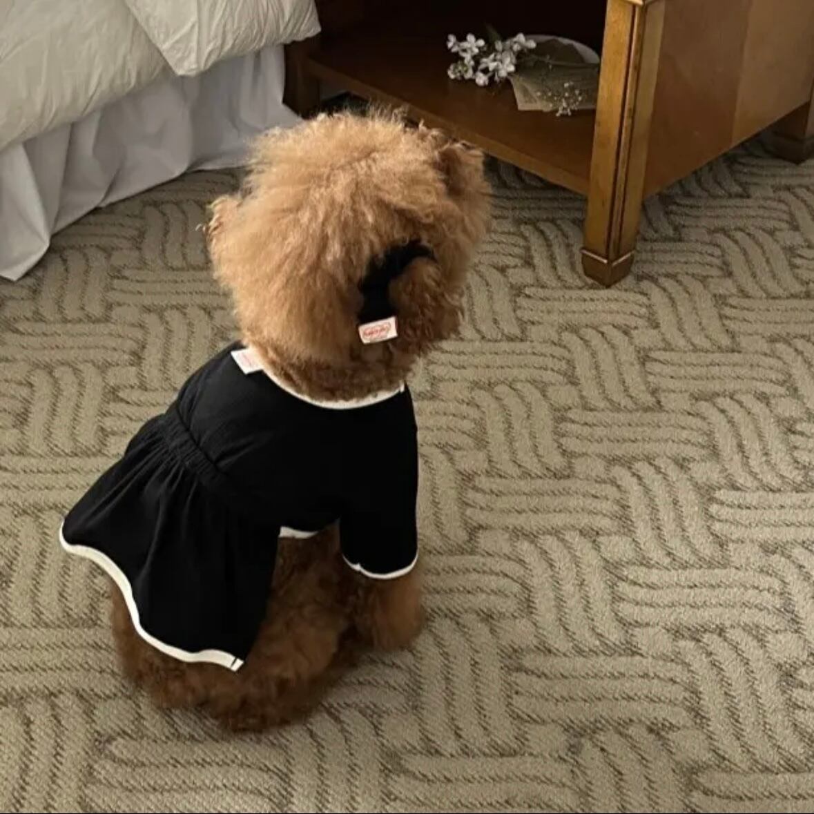即納/袖ありワンピース［tak!tak!tak!tak!］ puppy fluffy one-piece