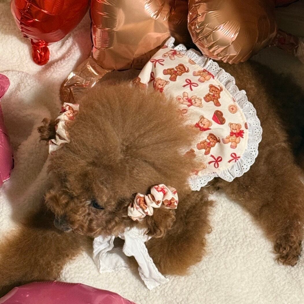 予約［tak!tak!tak!tak!］teddy biscuit apron dress