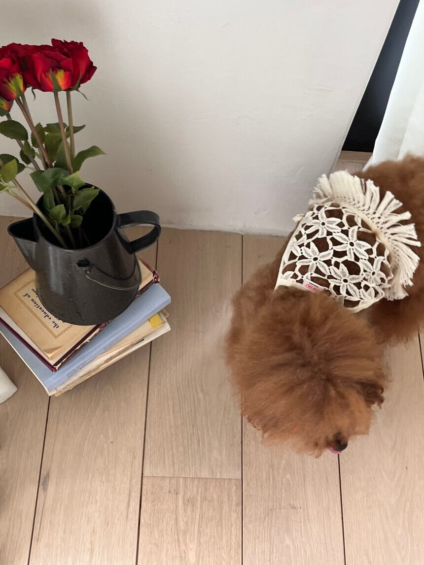 ［tak!tak!tak!tak!］Flower Crochet Bustier