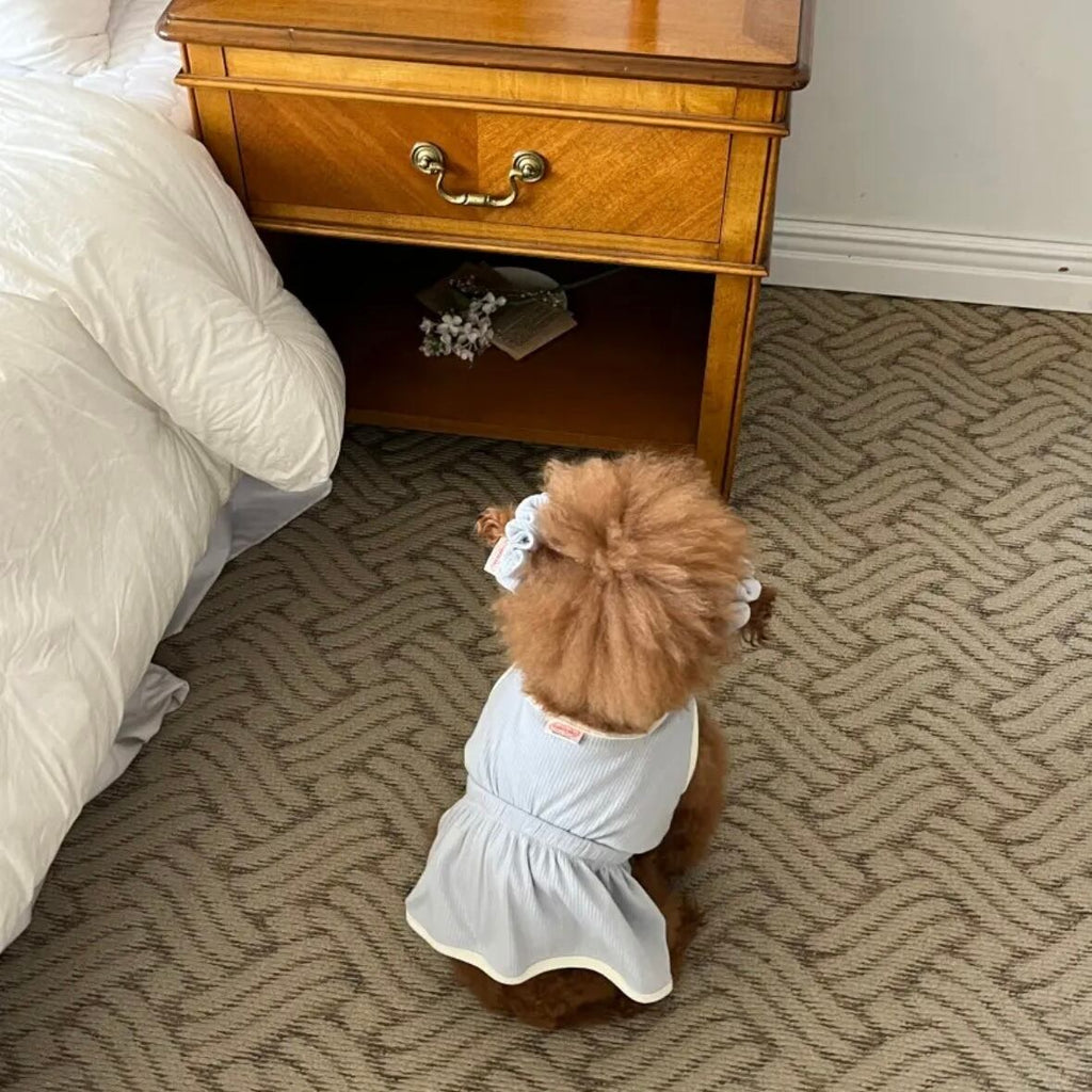 即納/袖なしワンピース［tak!tak!tak!tak!］ puppy fluffy one-piece