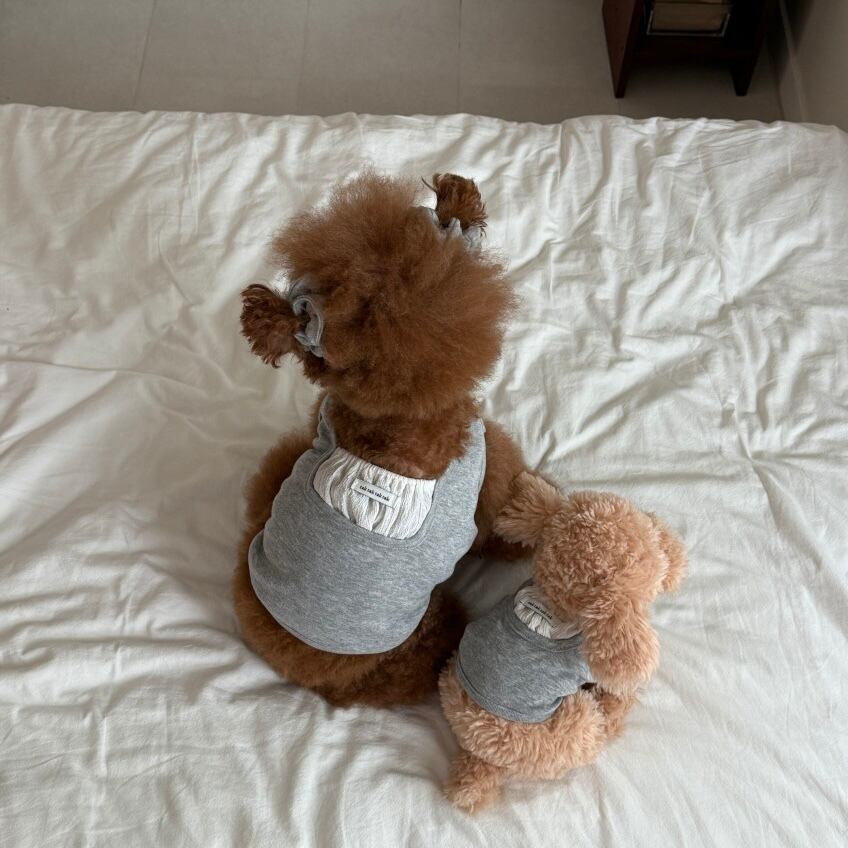 予約［tak!tak!tak!tak!］Mon Chou t-shirt