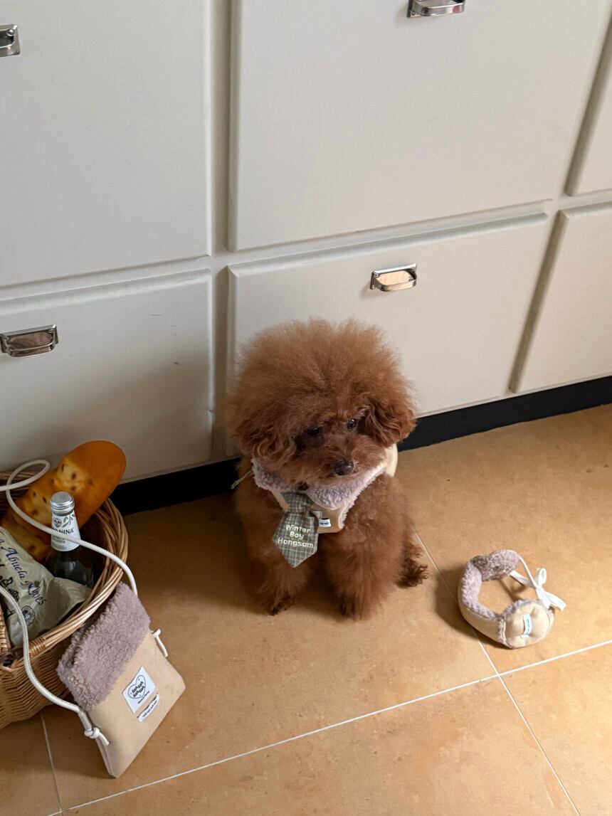 ネーム刺繍［tak!tak!tak!tak!］Custom Neck Tie (Check)