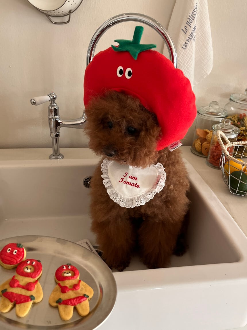 予約［tak!tak!tak!tak!］tomato hat （帽子単品）