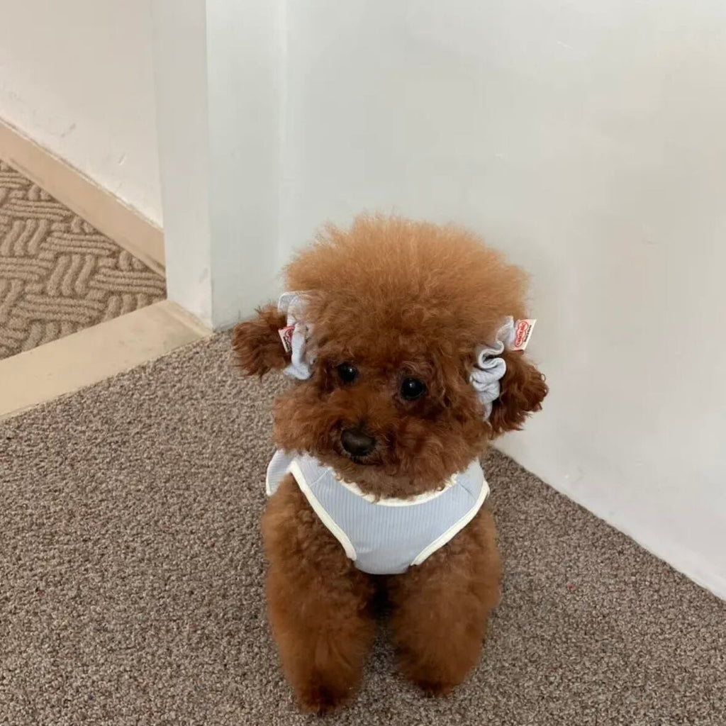 即納/袖なしワンピース［tak!tak!tak!tak!］ puppy fluffy one-piece