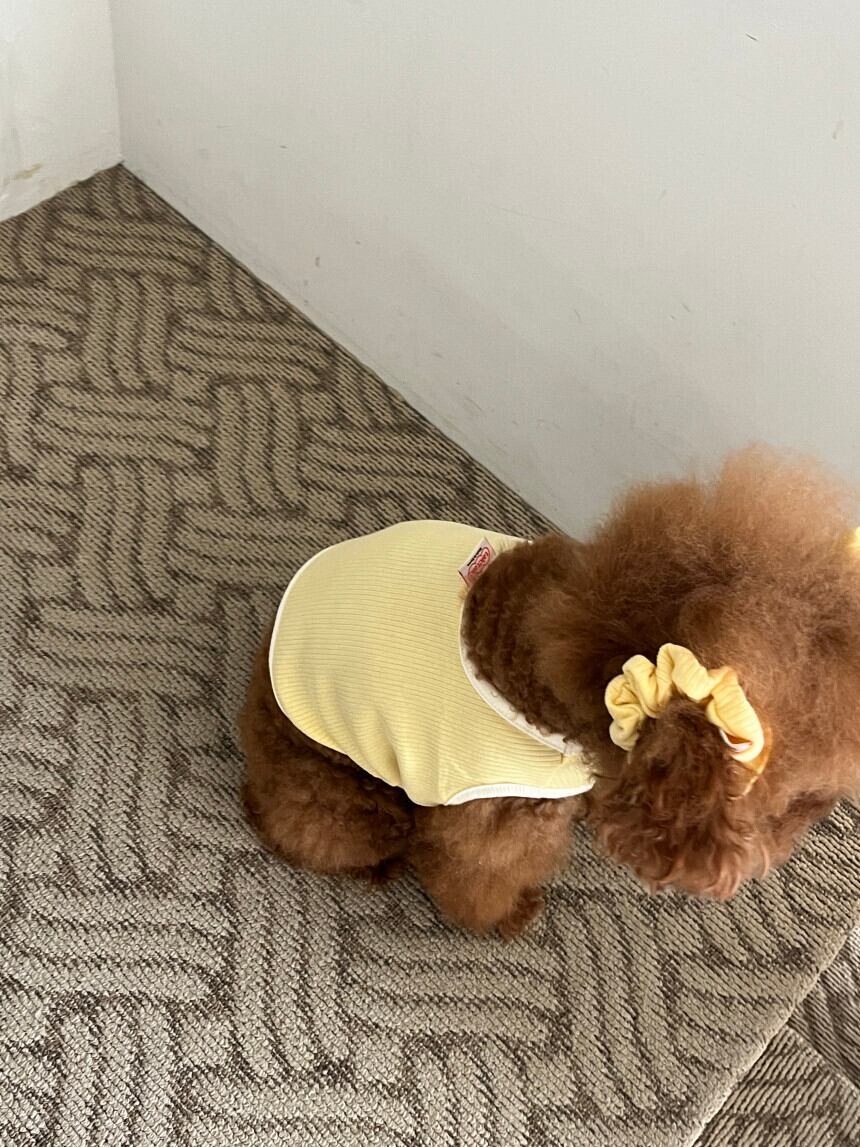 即納/袖あり［tak!tak!tak!tak!］crop tops