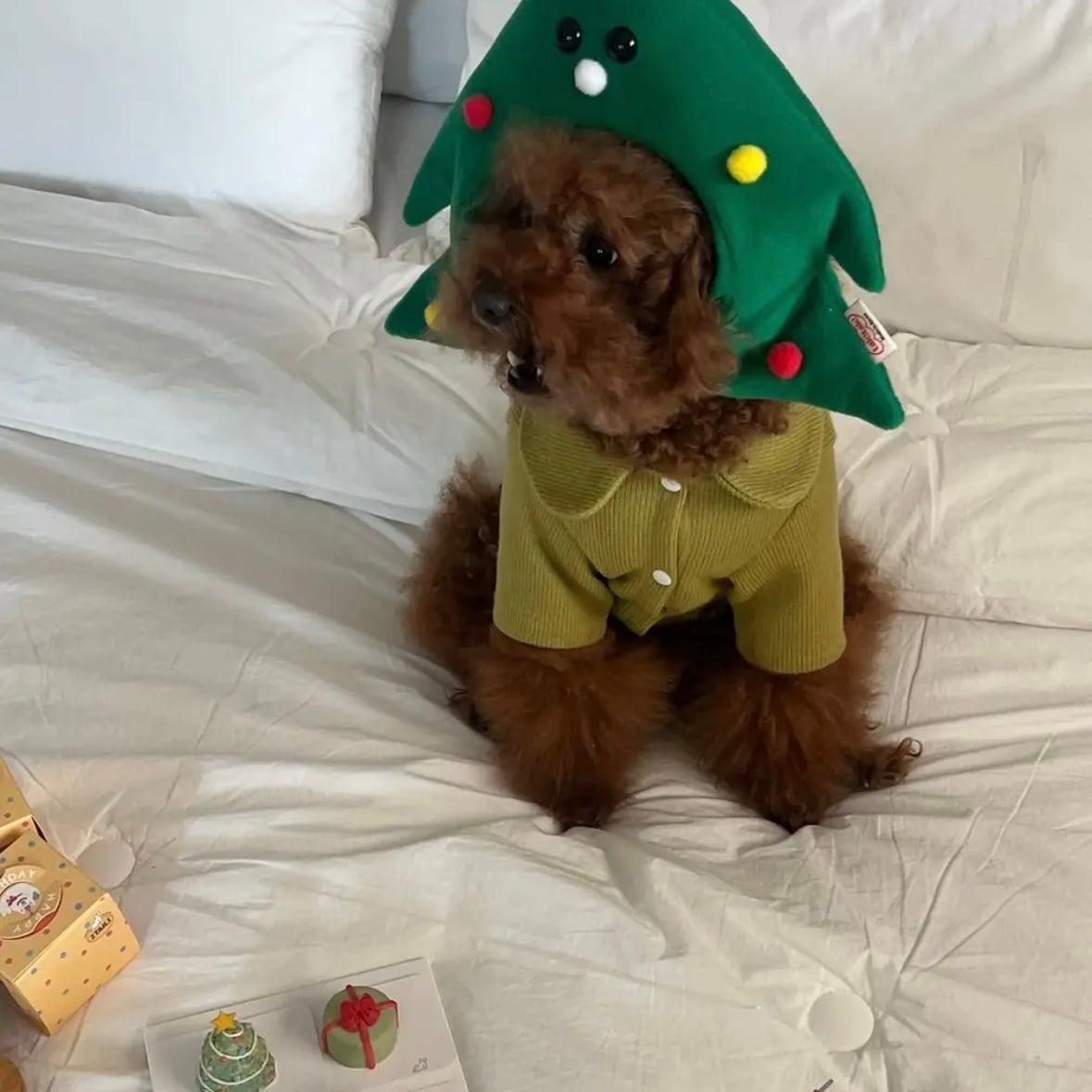 即納［tak!tak!tak!tak!］Christmas tree cap （帽子単品）