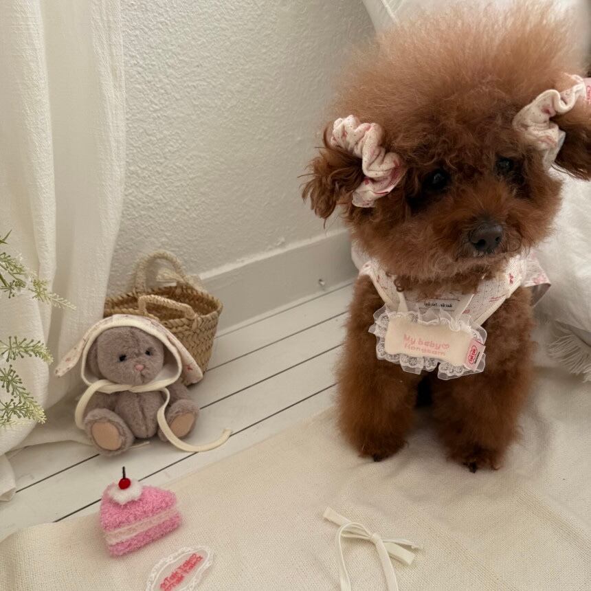 予約［tak!tak!tak!tak!］milk pink eyelet hair shushu