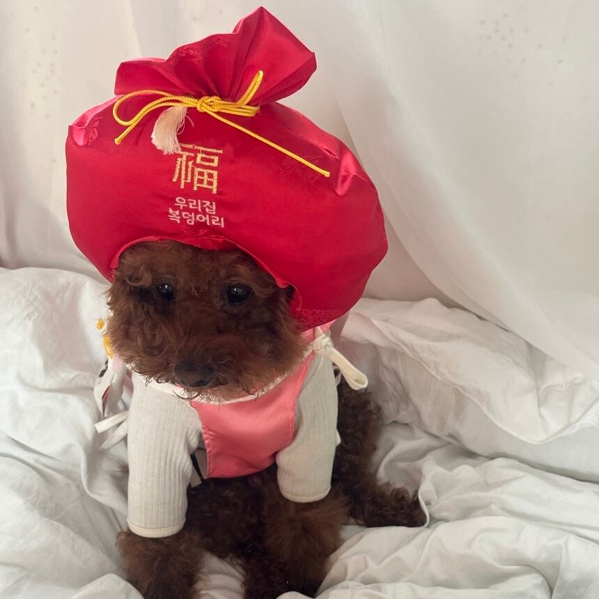 ［tak!tak!tak!tak!］ fuku cap（帽子単品）