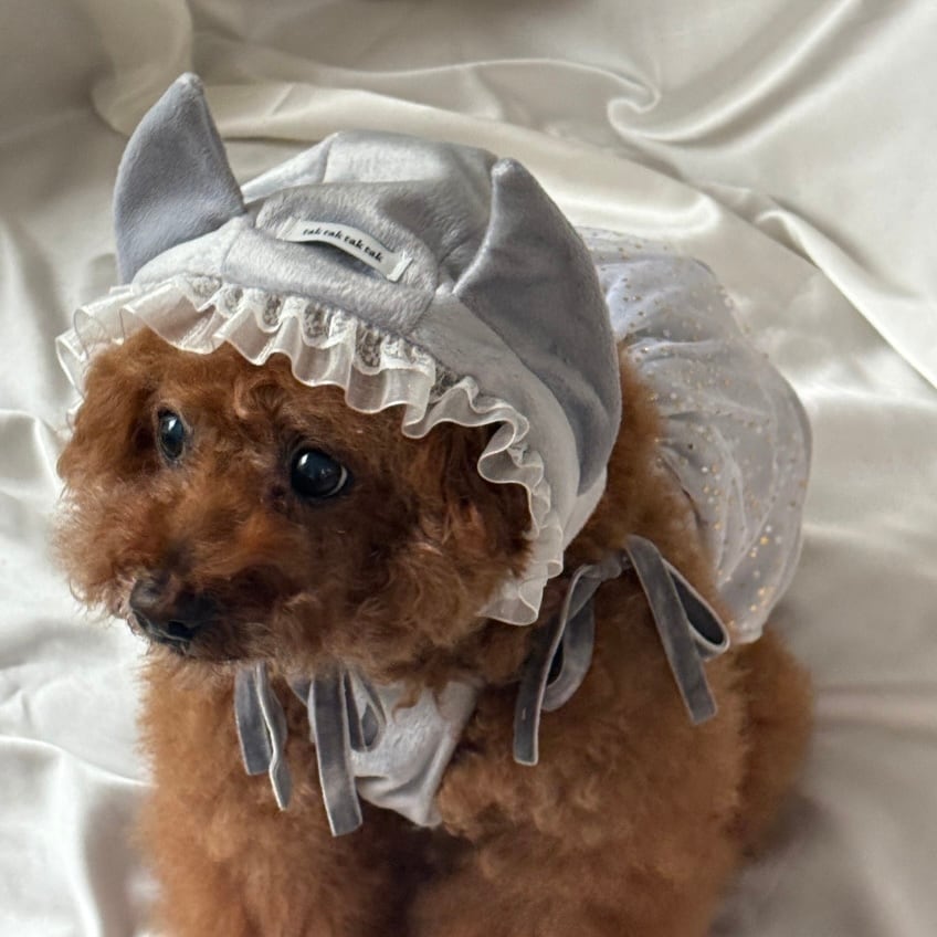 特典付き！［tak!tak!tak!tak!］Velvet Devils Halloween Bonnet