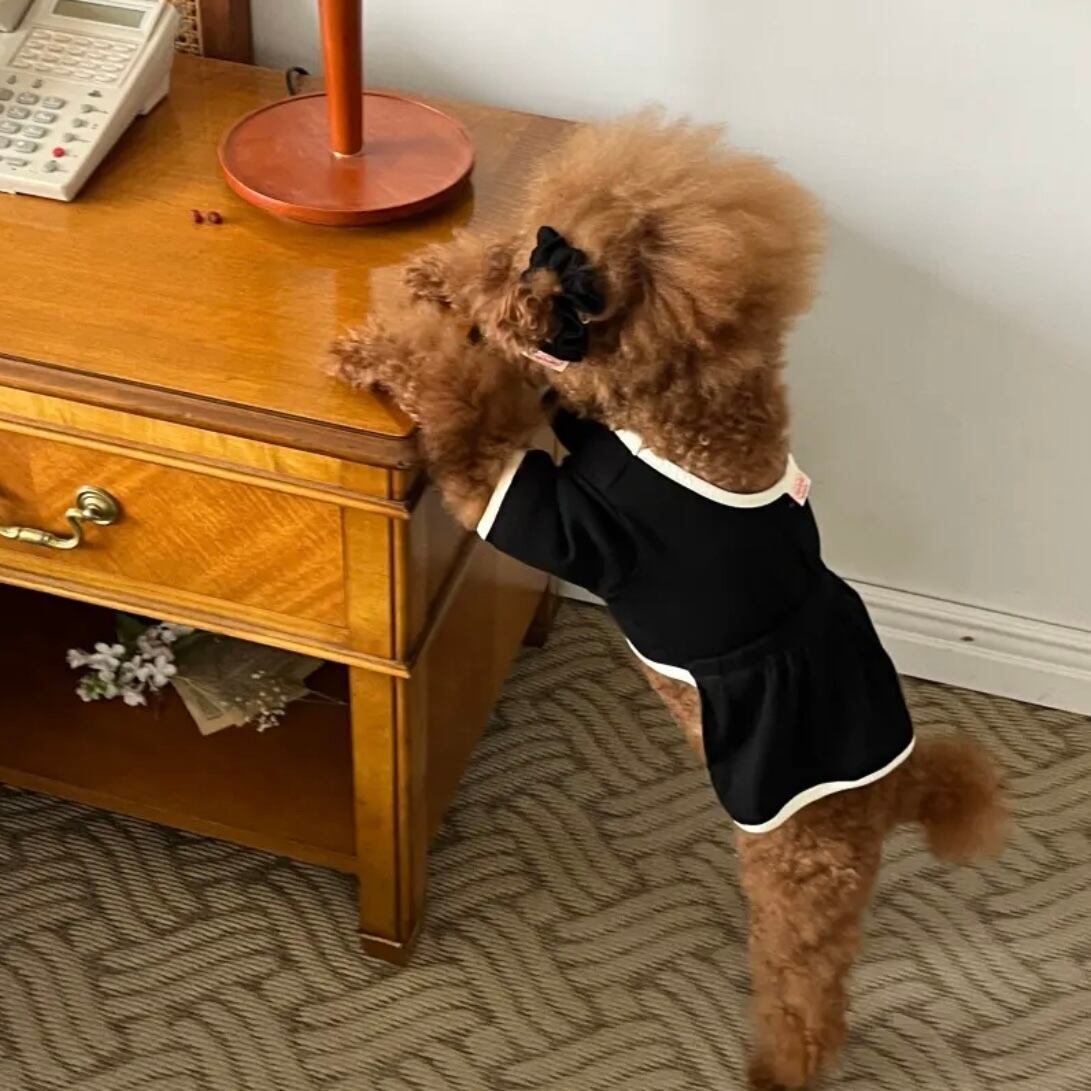 袖ありワンピース［tak!tak!tak!tak!］ puppy fluffy one-piece