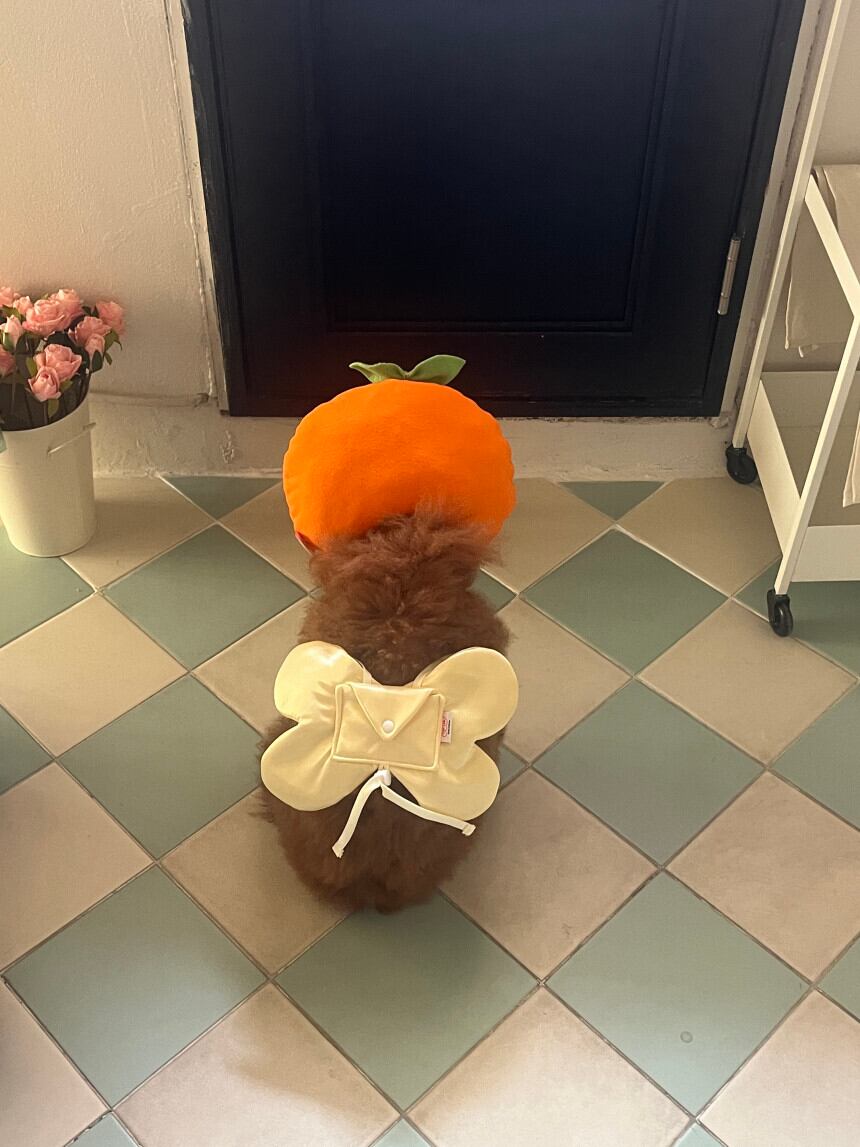 予約［tak!tak!tak!tak!］orange hat （帽子単品）
