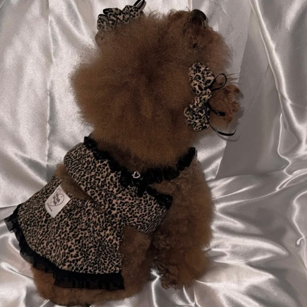 予約［tak!tak!tak!tak!］Love&Wild Leopard Series (Dress)