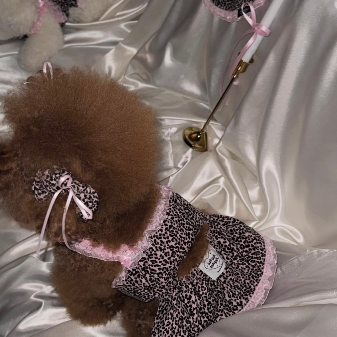 即納［tak!tak!tak!tak!］Love&Wild Leopard Series (Dress)