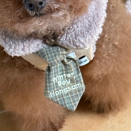 ネーム刺繍［tak!tak!tak!tak!］Custom Neck Tie (Check)