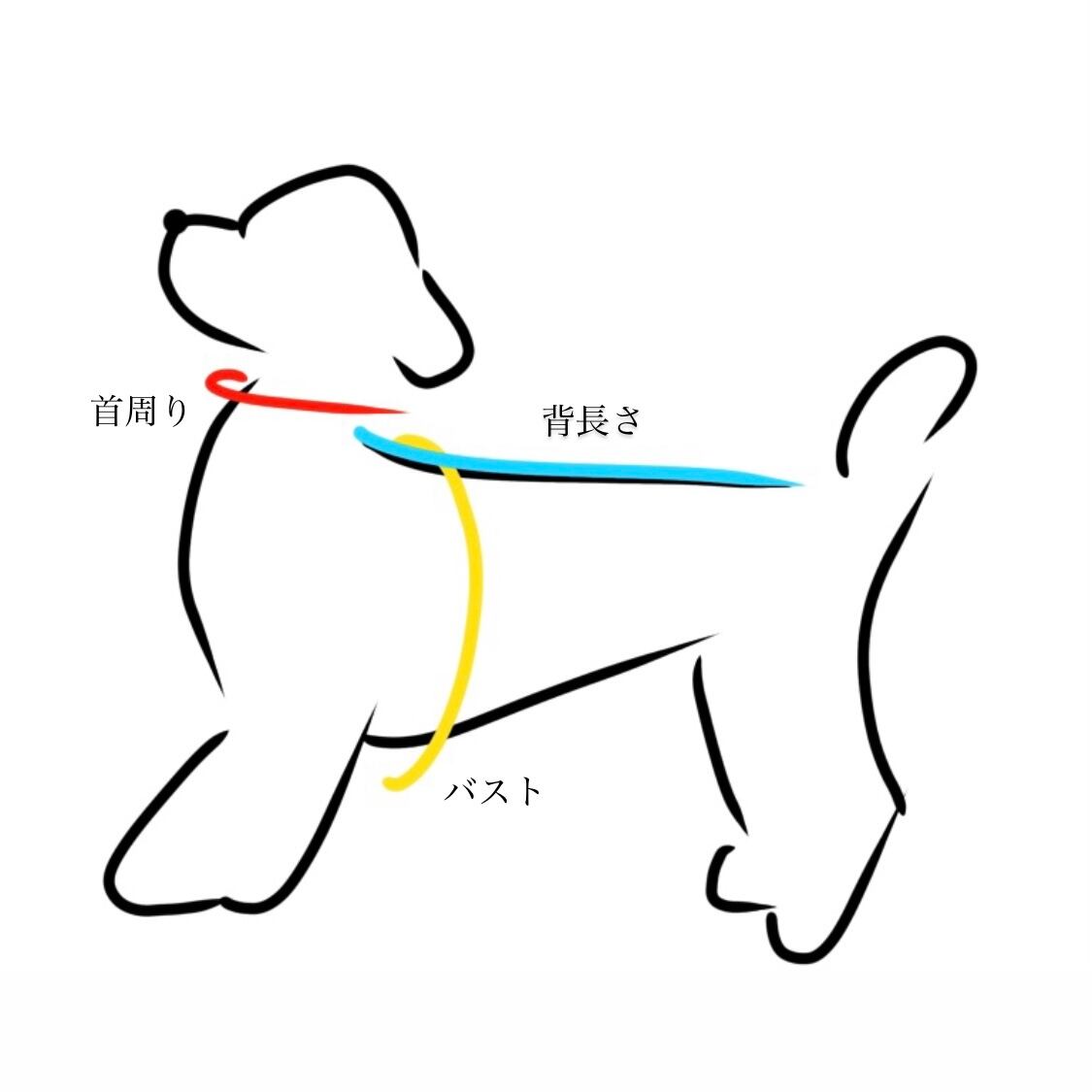 即納【mong n cheek】daily scarf (2color)