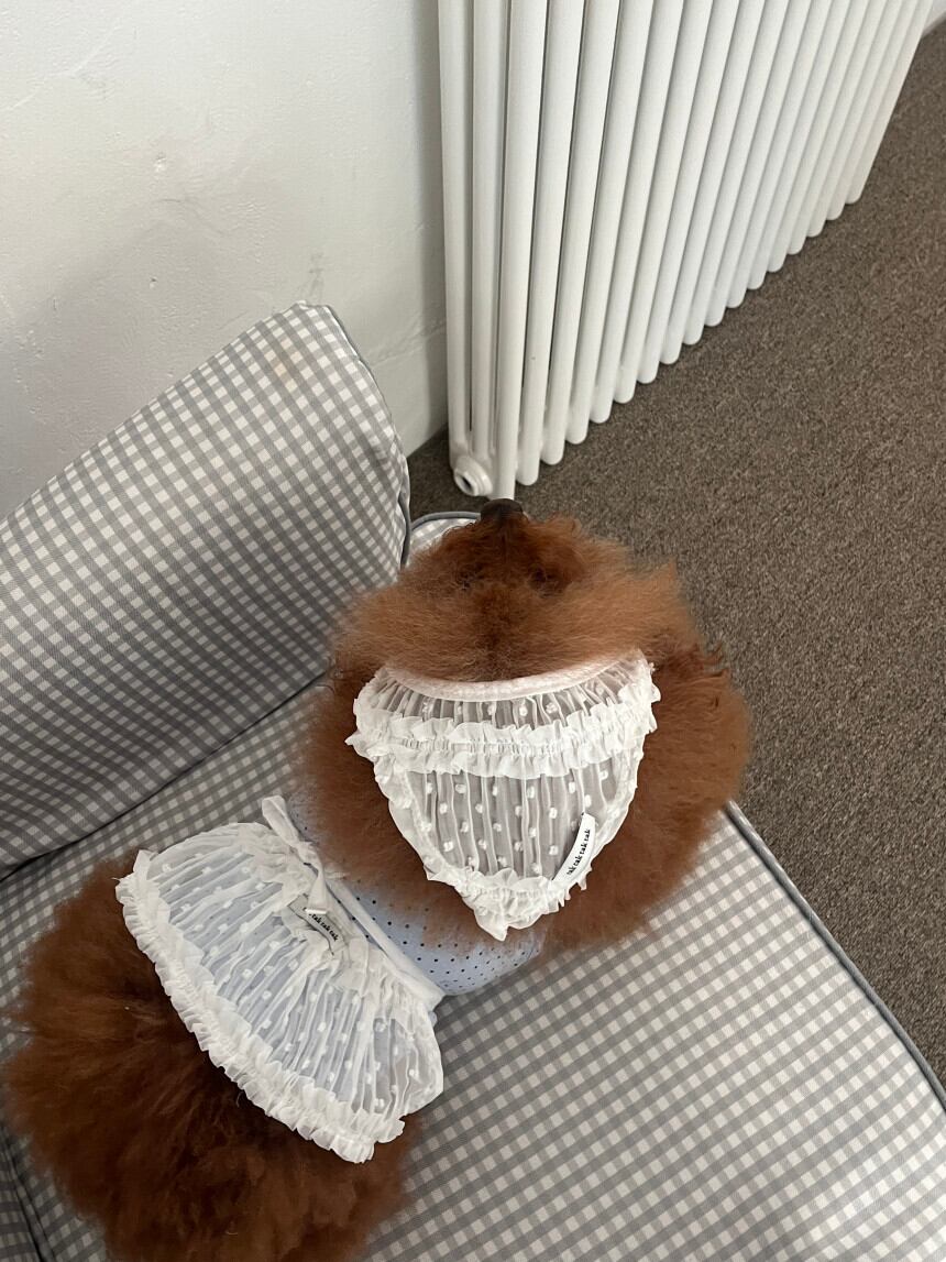 即納/わんこ用［tak!tak!tak!tak!］Pure Lace  Headscarf