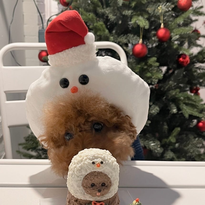 ［tak!tak!tak!tak!］SnowMan cap （帽子単品）