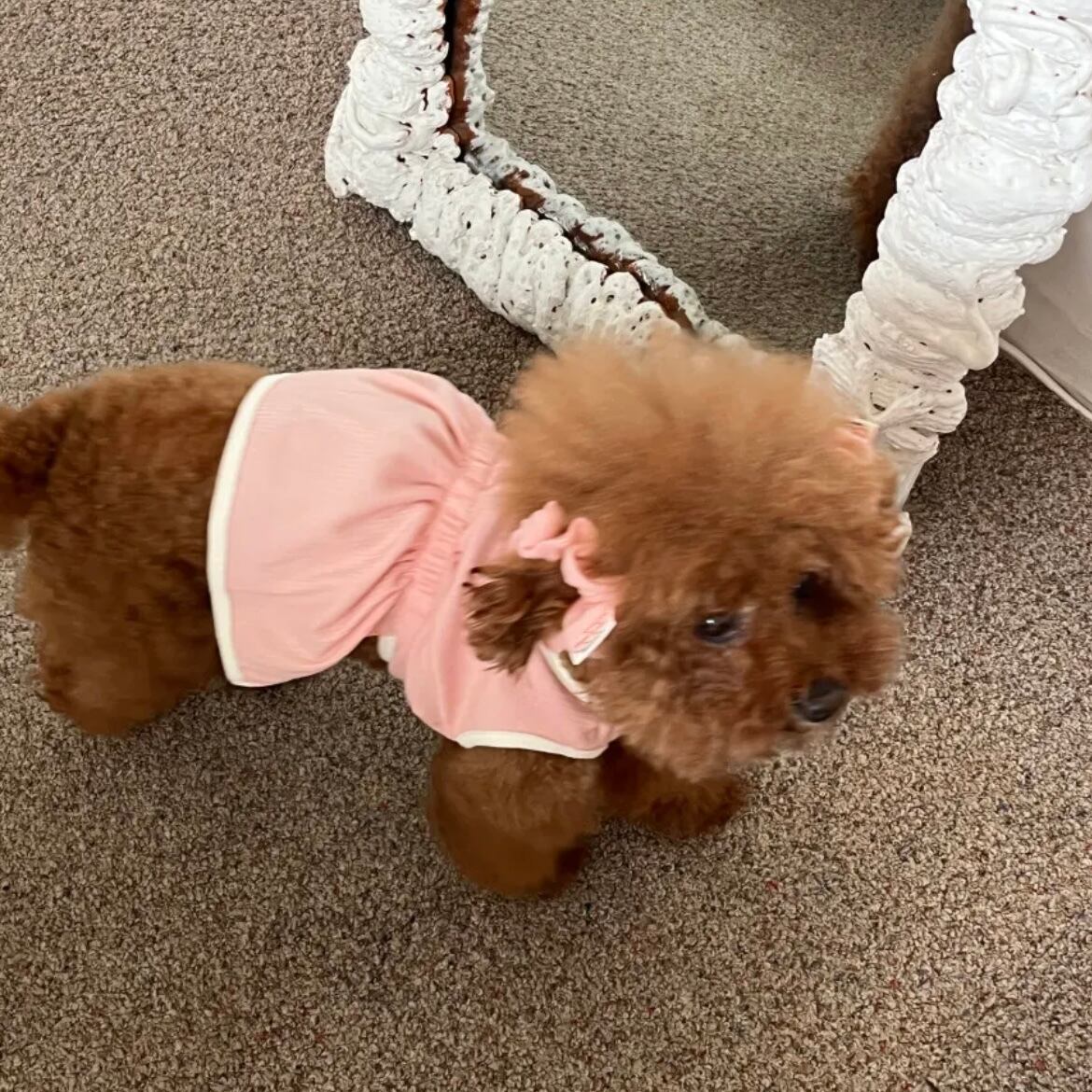 袖なしワンピース［tak!tak!tak!tak!］ puppy fluffy one-piece