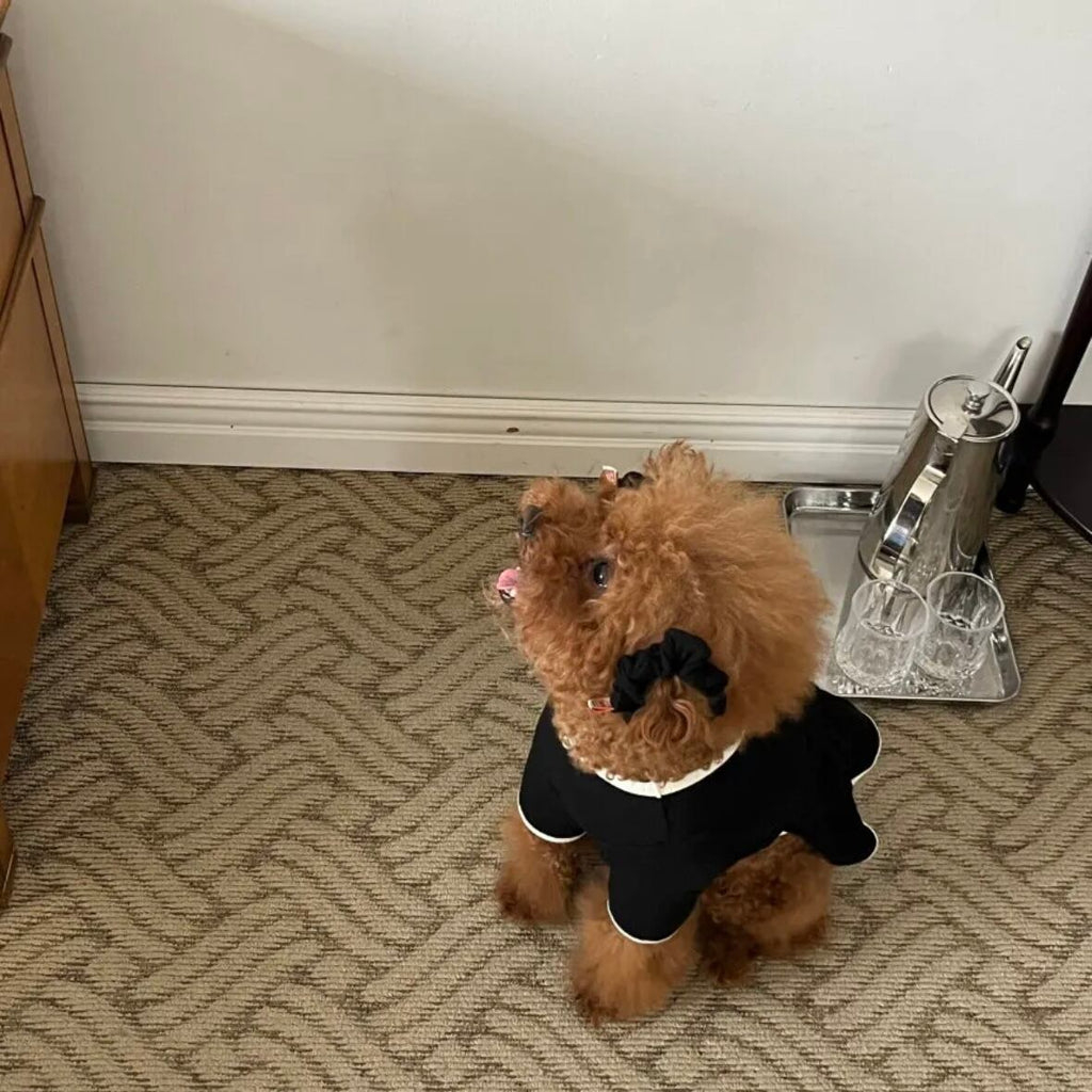 即納/袖ありワンピース［tak!tak!tak!tak!］ puppy fluffy one-piece