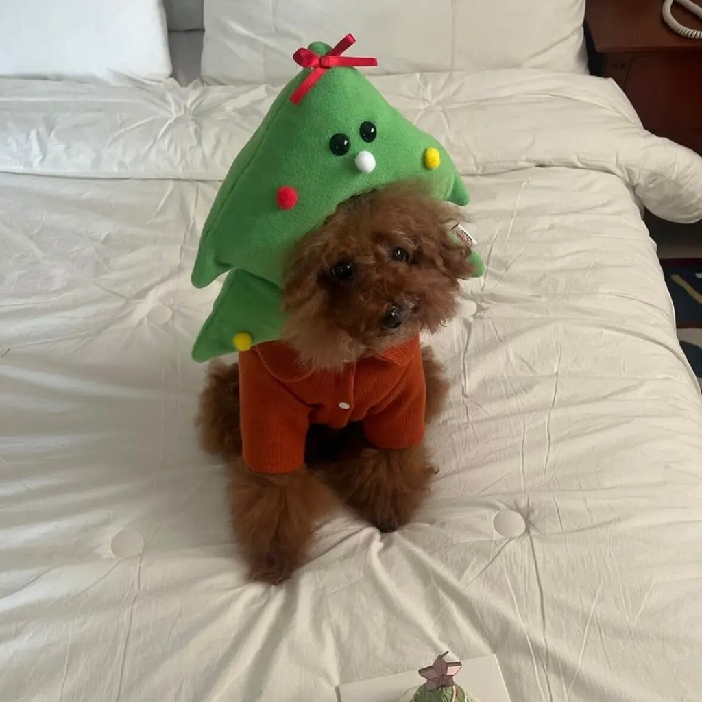 ［tak!tak!tak!tak!］Christmas tree cap （帽子単品）