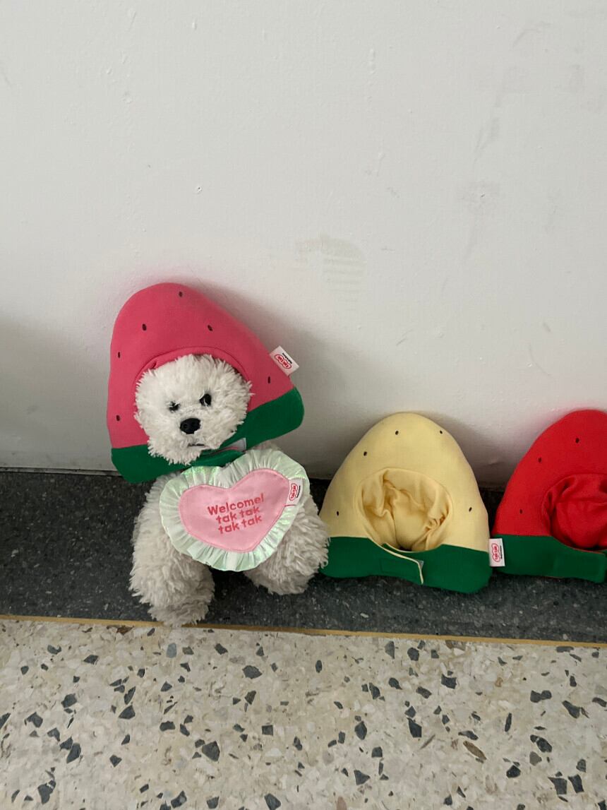 予約［tak!tak!tak!tak!］Water melon cap （帽子単品）