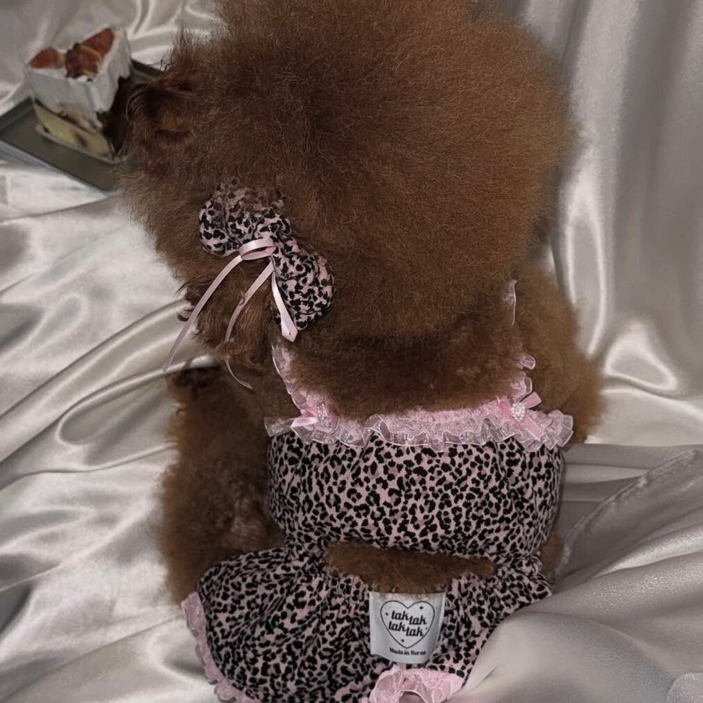 即納［tak!tak!tak!tak!］Love&Wild Leopard Series (Dress)