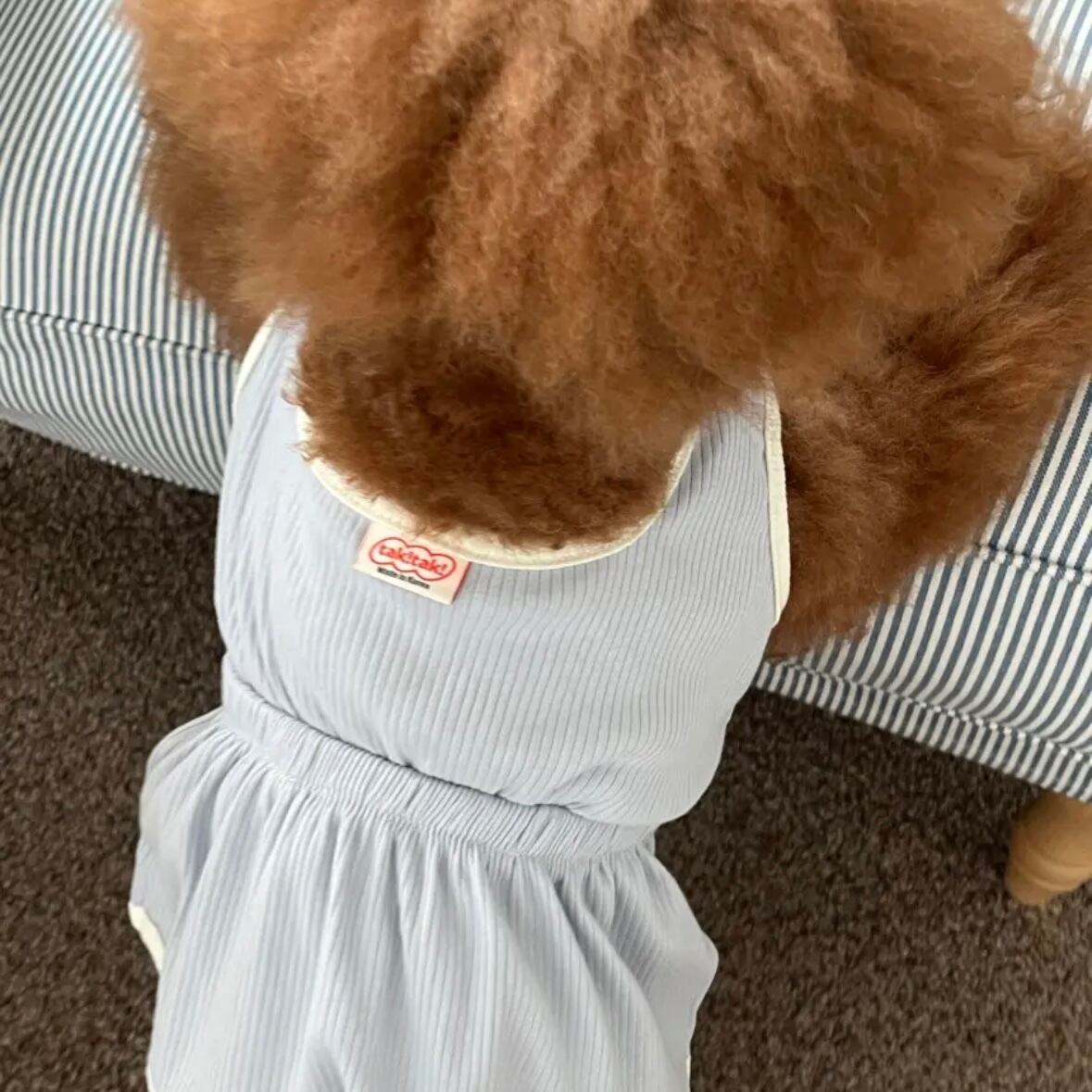 袖なしワンピース［tak!tak!tak!tak!］ puppy fluffy one-piece