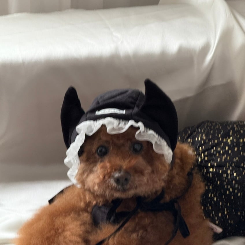 特典付き！［tak!tak!tak!tak!］Velvet Devils Halloween Bonnet