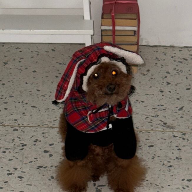 予約［tak!tak!tak!tak!］winter tartan check balaclava