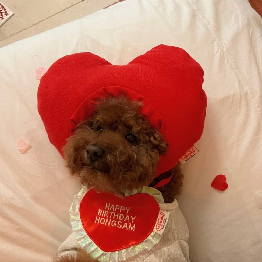 即納［tak!tak!tak!tak!］birthday heart cap （帽子単品）
