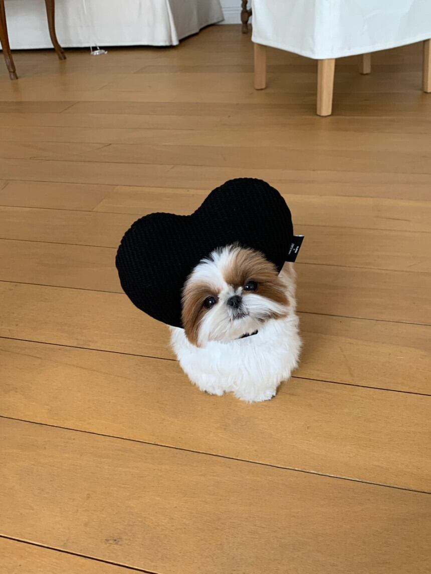 即納［ours,］Heart hat (black, stripe)