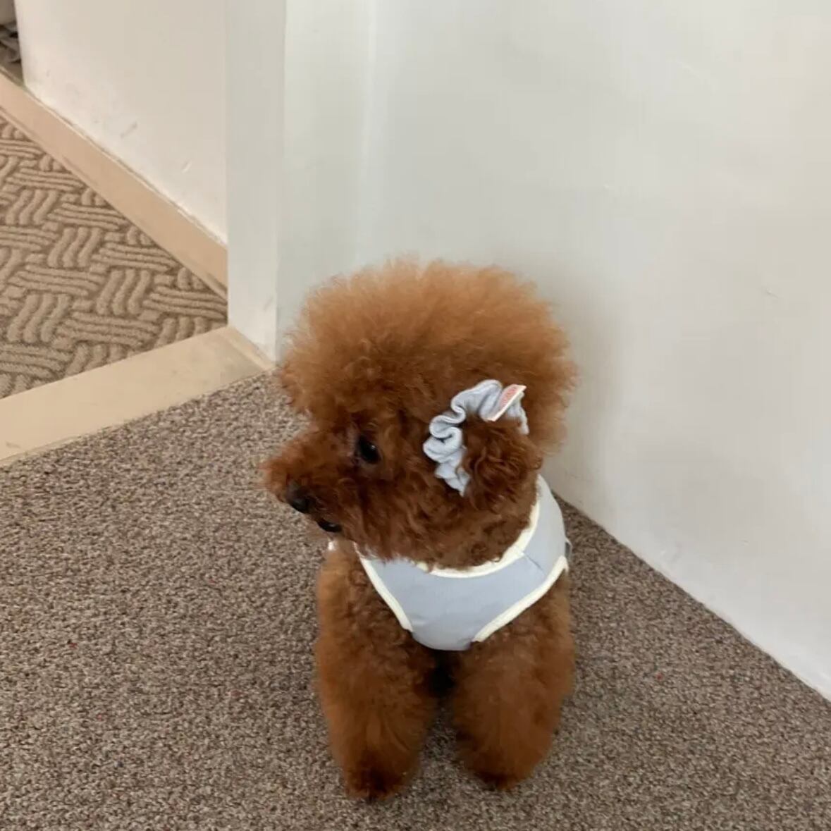 袖なしワンピース［tak!tak!tak!tak!］ puppy fluffy one-piece