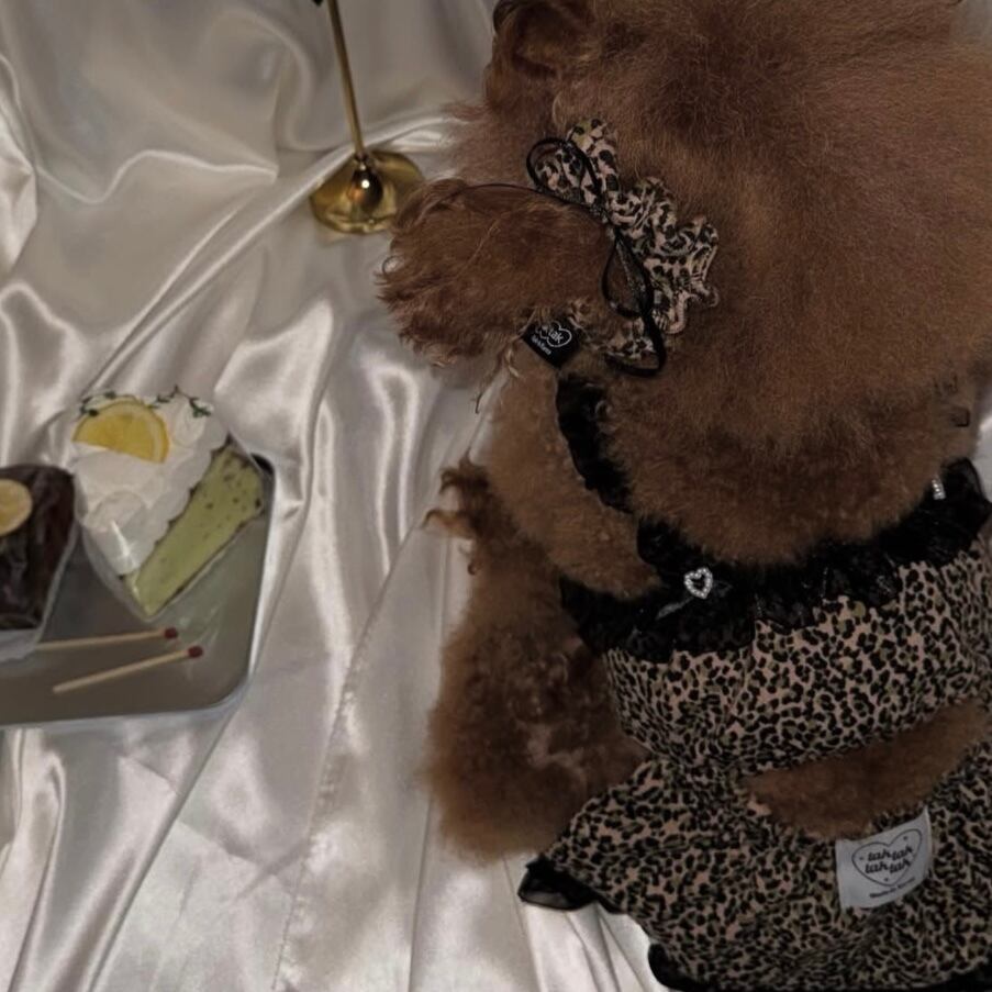 予約［tak!tak!tak!tak!］Love&Wild Leopard Series (Dress)