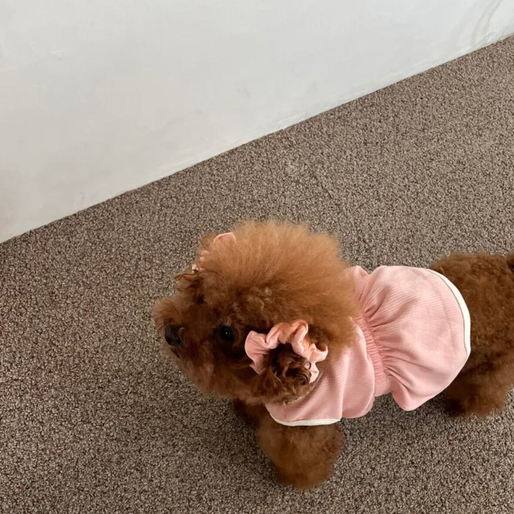 即納/袖なしワンピース［tak!tak!tak!tak!］ puppy fluffy one-piece