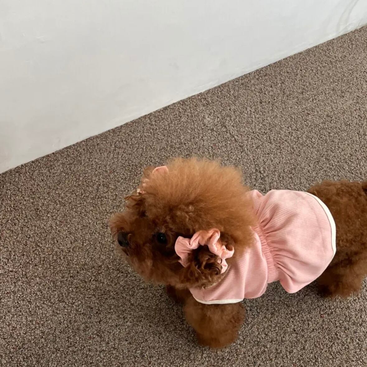 即納/袖なしワンピース［tak!tak!tak!tak!］ puppy fluffy one-piece